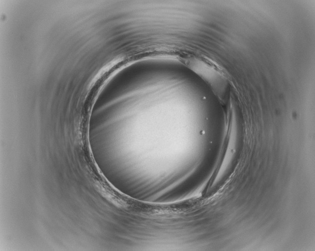 X0000059251026200510281951