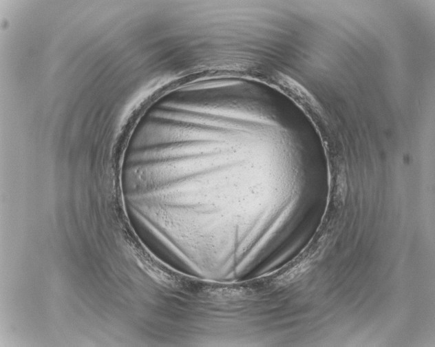 X0000059251027200510281951