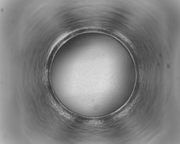 X0000059251029200510281951