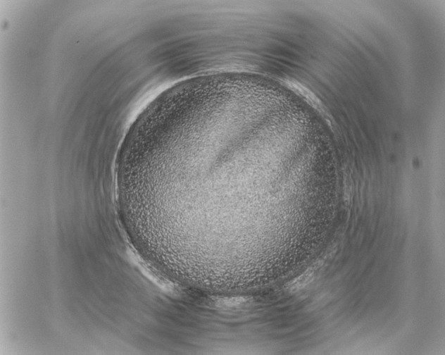 X0000059251031200510281951