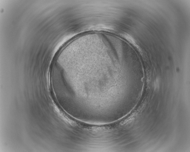 X0000059251032200510281951