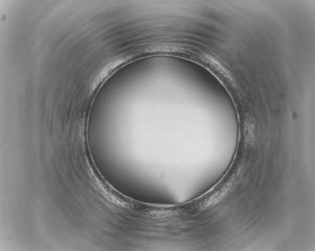 X0000059251033200510281951