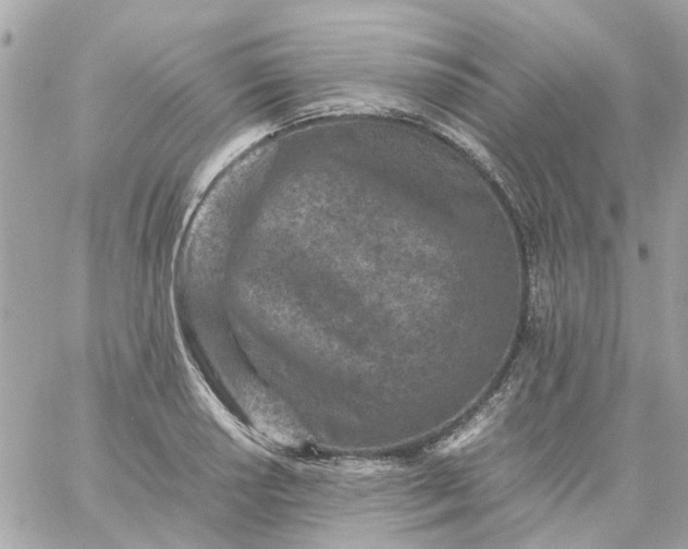 X0000059251034200510281951