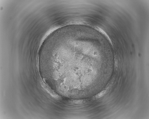 X0000059251035200510281951