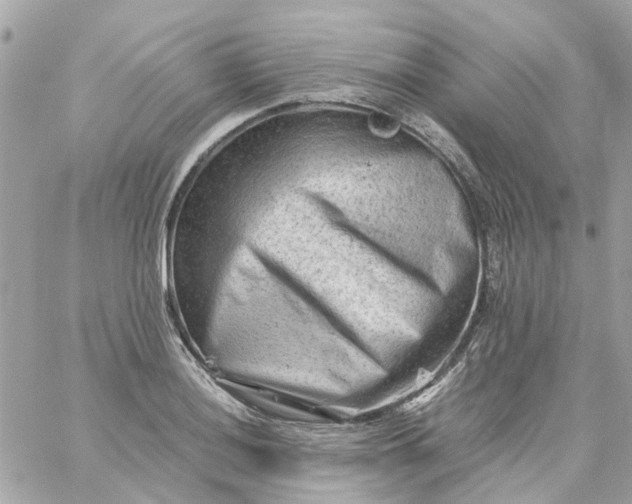 X0000059251036200510281951