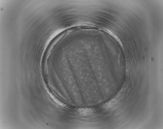 X0000059251037200510281951