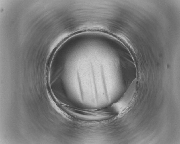 X0000059251038200510281951