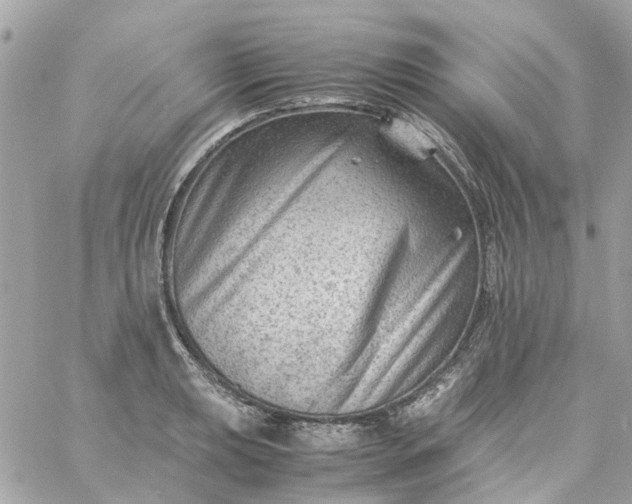 X0000059251039200510281951