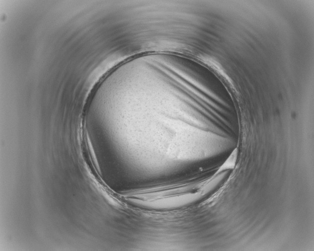 X0000059251040200510281951