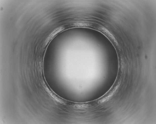 X0000059251041200510281951