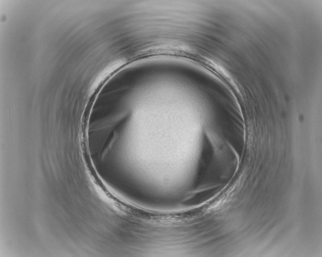 X0000059251042200510281951