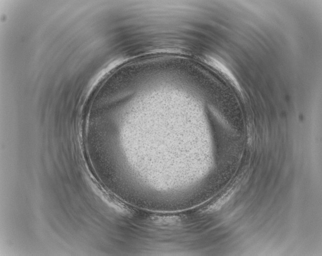 X0000059251043200510281951