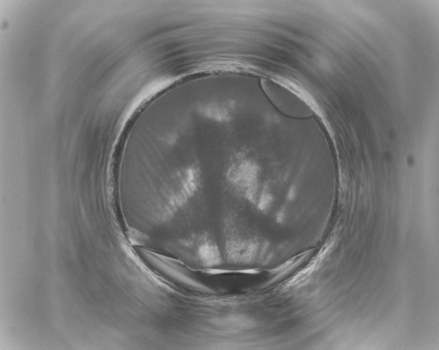 X0000059251045200510281951