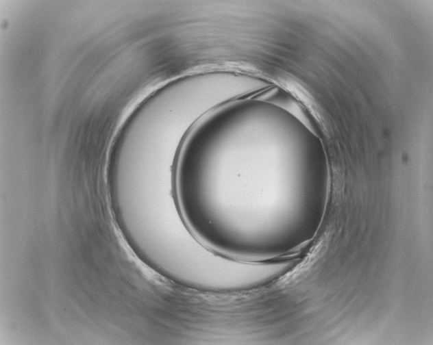 X0000059251046200510281951