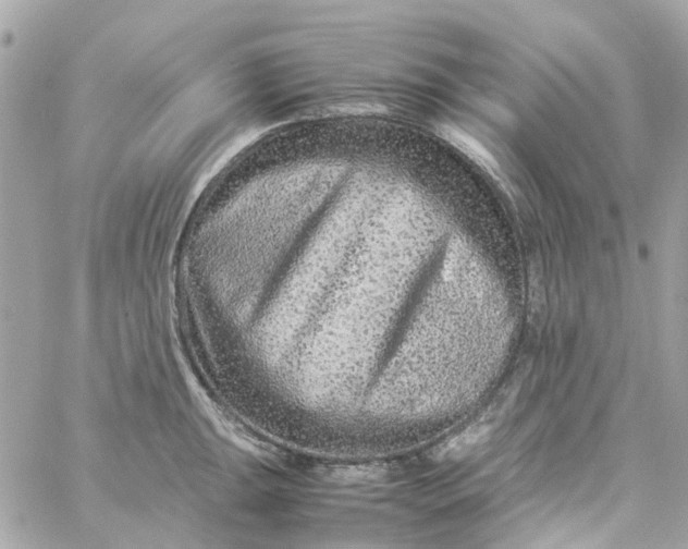 X0000059251047200510281951