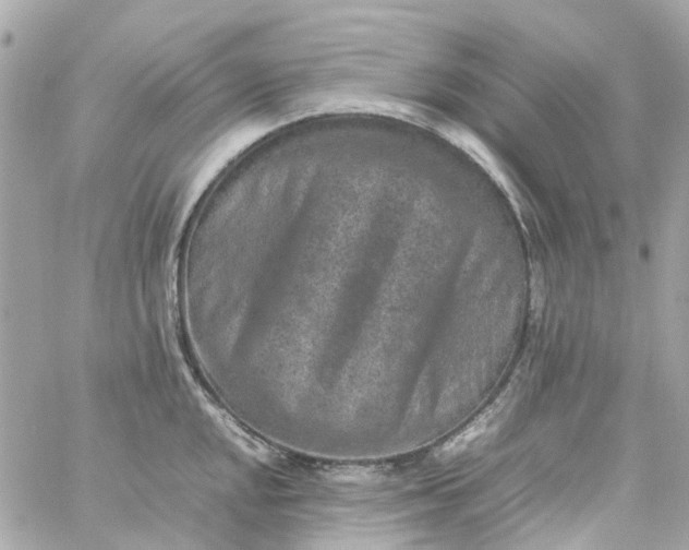 X0000059251048200510281951