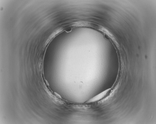 X0000059251049200510281951