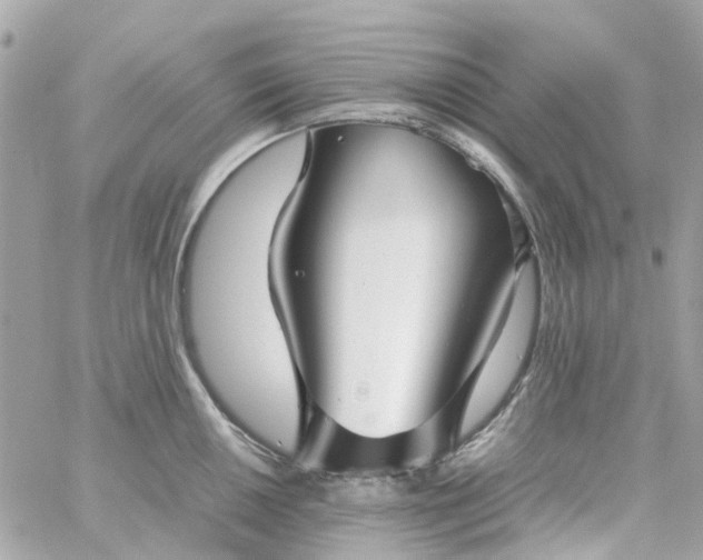 X0000059251050200510281951