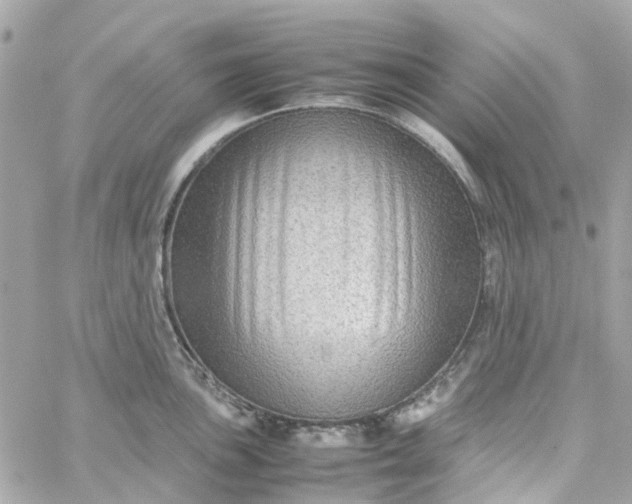 X0000059251051200510281951