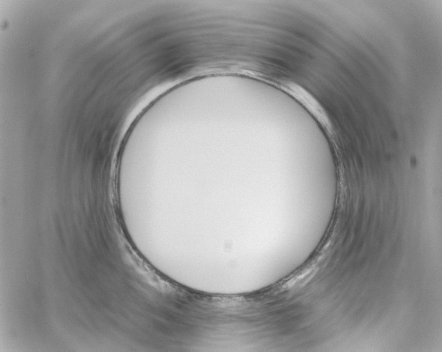 X0000059251052200510281951