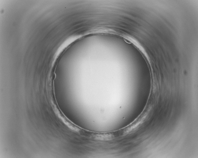 X0000059251053200510281951