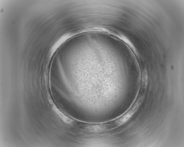 X0000059251054200510281951