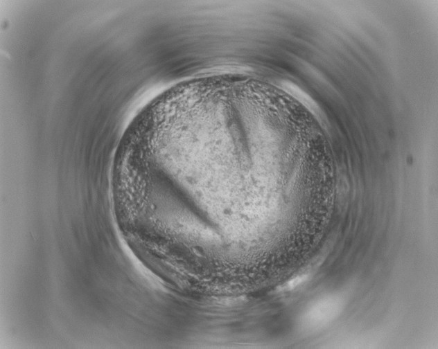 X0000059251055200510281951