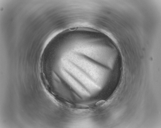 X0000059251056200510281951