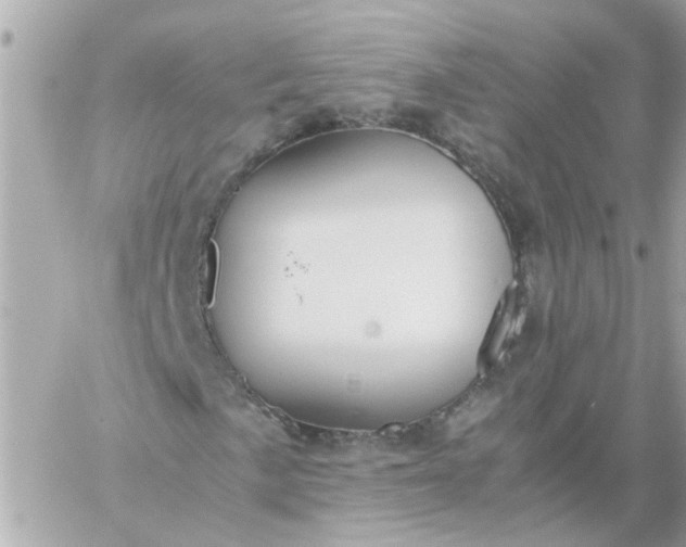 X0000059251057200510281950