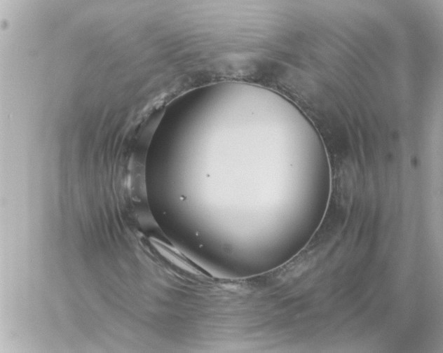 X0000059251058200510281950