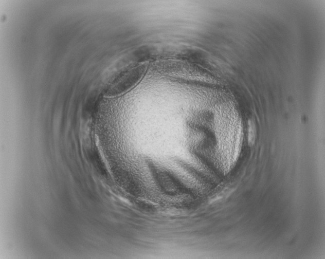 X0000059251059200510281950