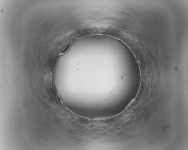 X0000059251061200510281950