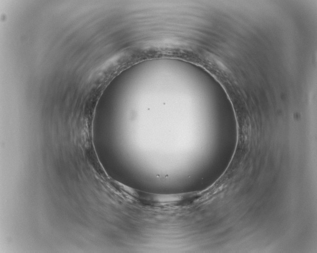 X0000059251062200510281950