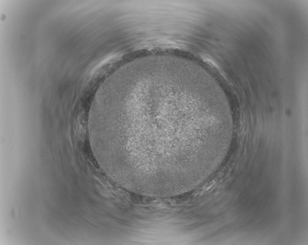 X0000059251063200510281950