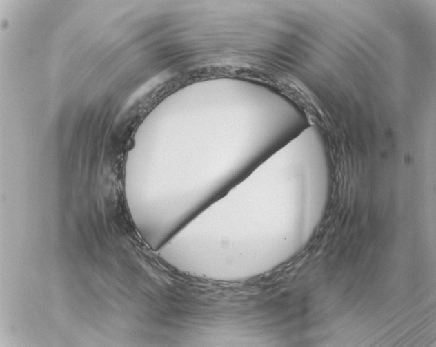 X0000059251064200510281950