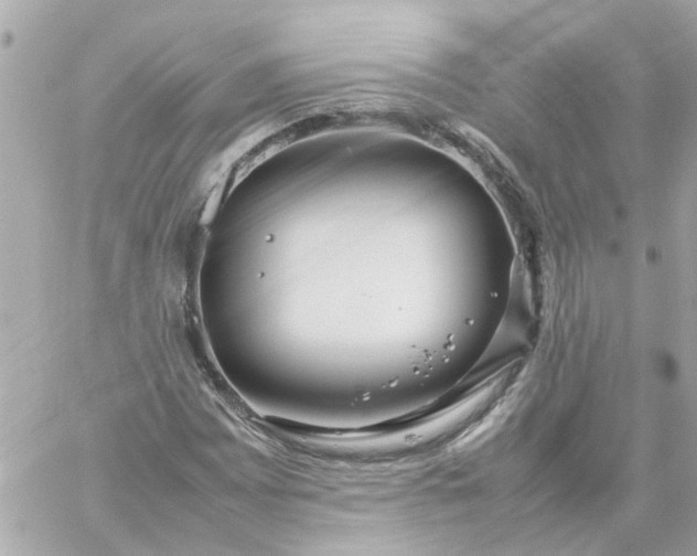 X0000059251065200510281950