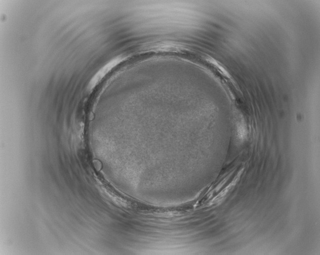 X0000059251066200510281950