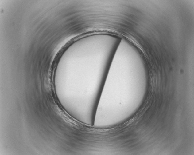 X0000059251068200510281950