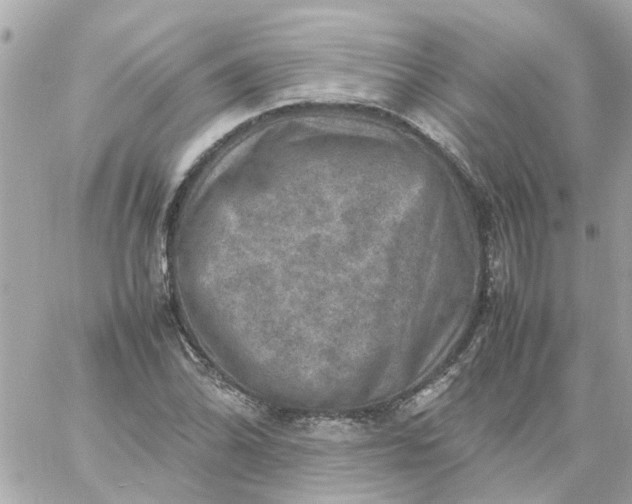 X0000059251070200510281950