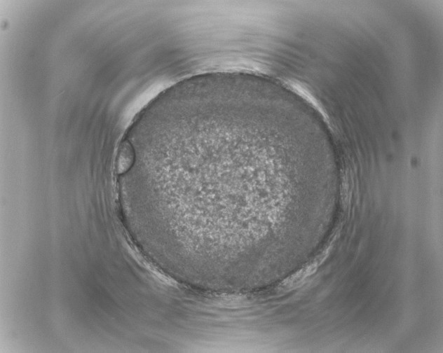 X0000059251071200510281950