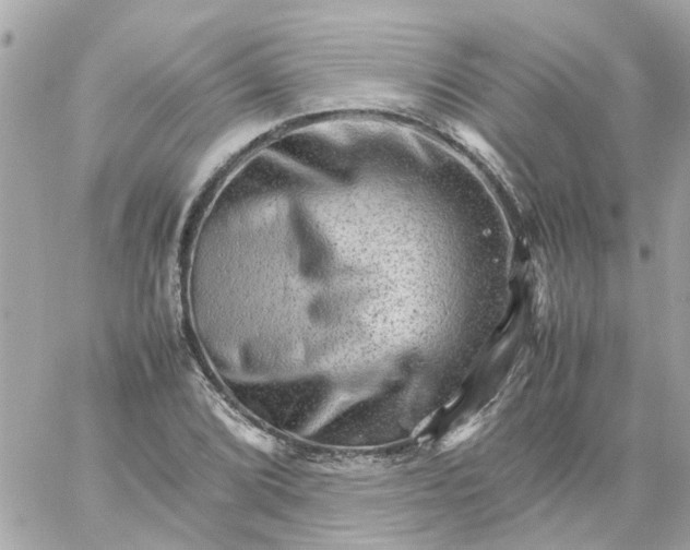 X0000059251072200510281950