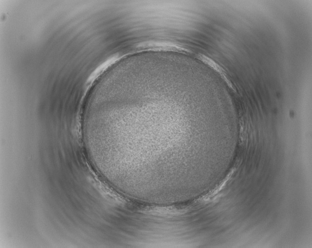 X0000059251074200510281950