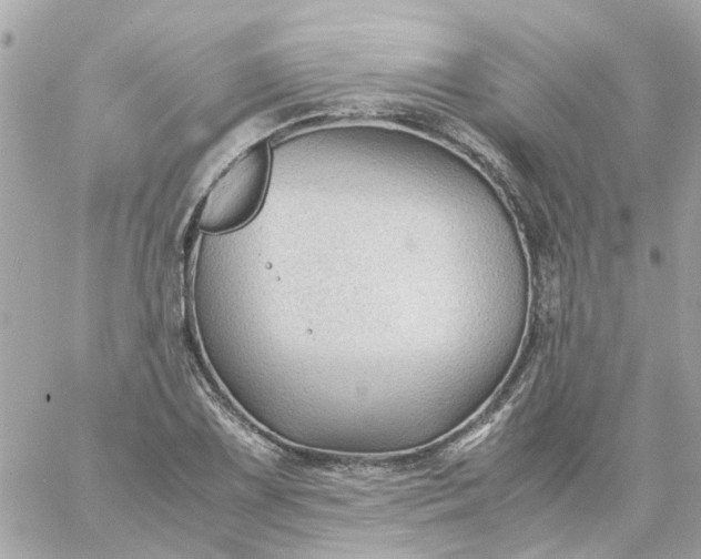 X0000059251075200510281950