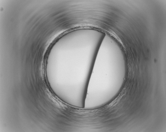 X0000059251076200510281950