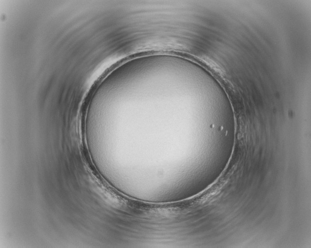 X0000059251078200510281950