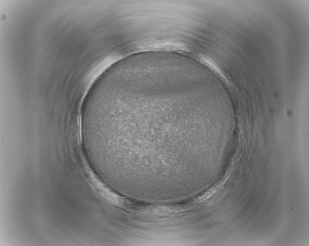 X0000059251079200510281950