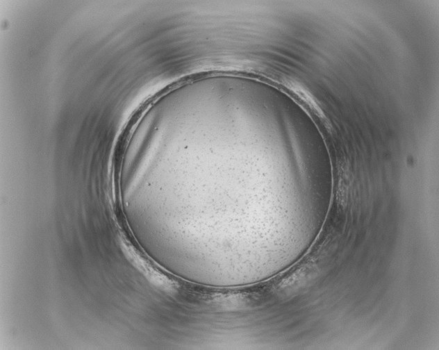 X0000059251080200510281950