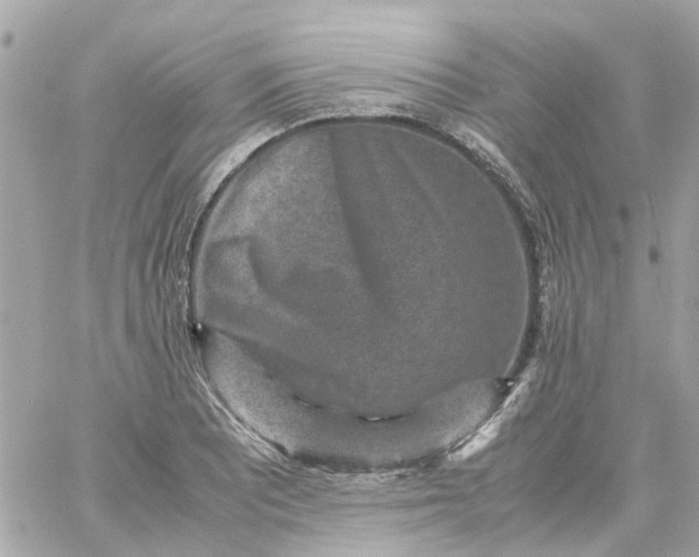 X0000059251081200510281950