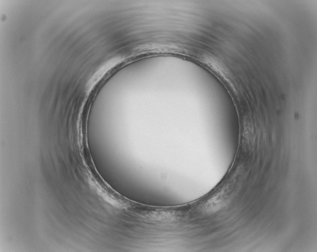 X0000059251082200510281950