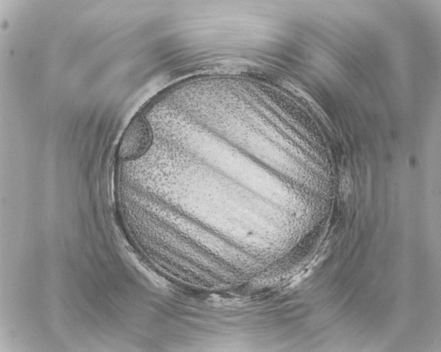 X0000059251083200510281950